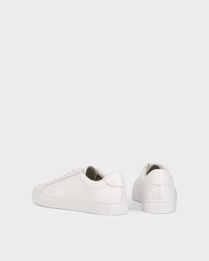 Sneakers Cody