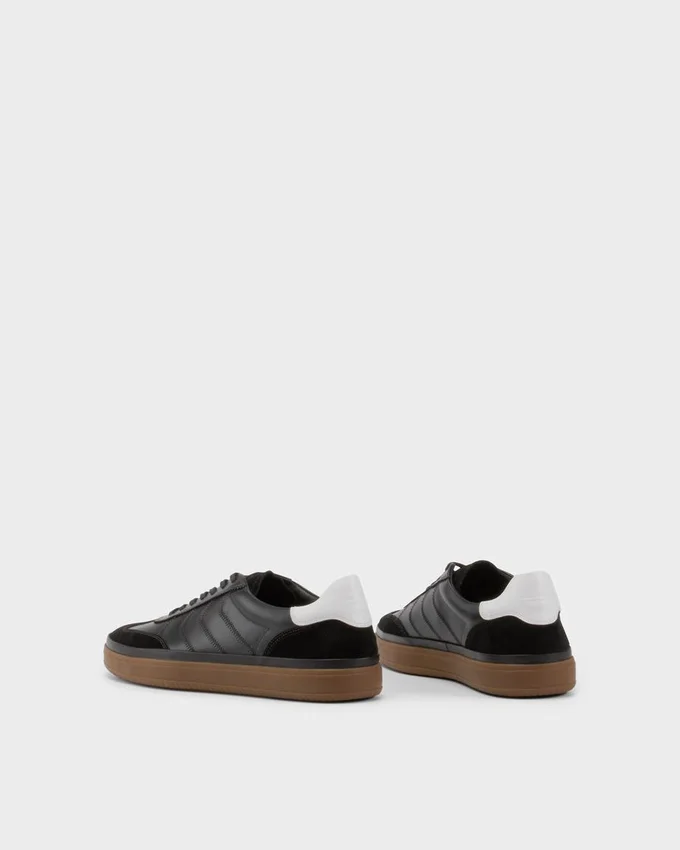 Sneakers Leo