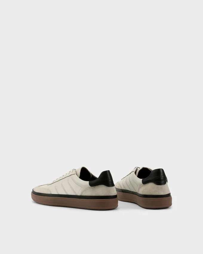 Sneakers Leo