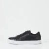 Sneakers Paul 2.0
